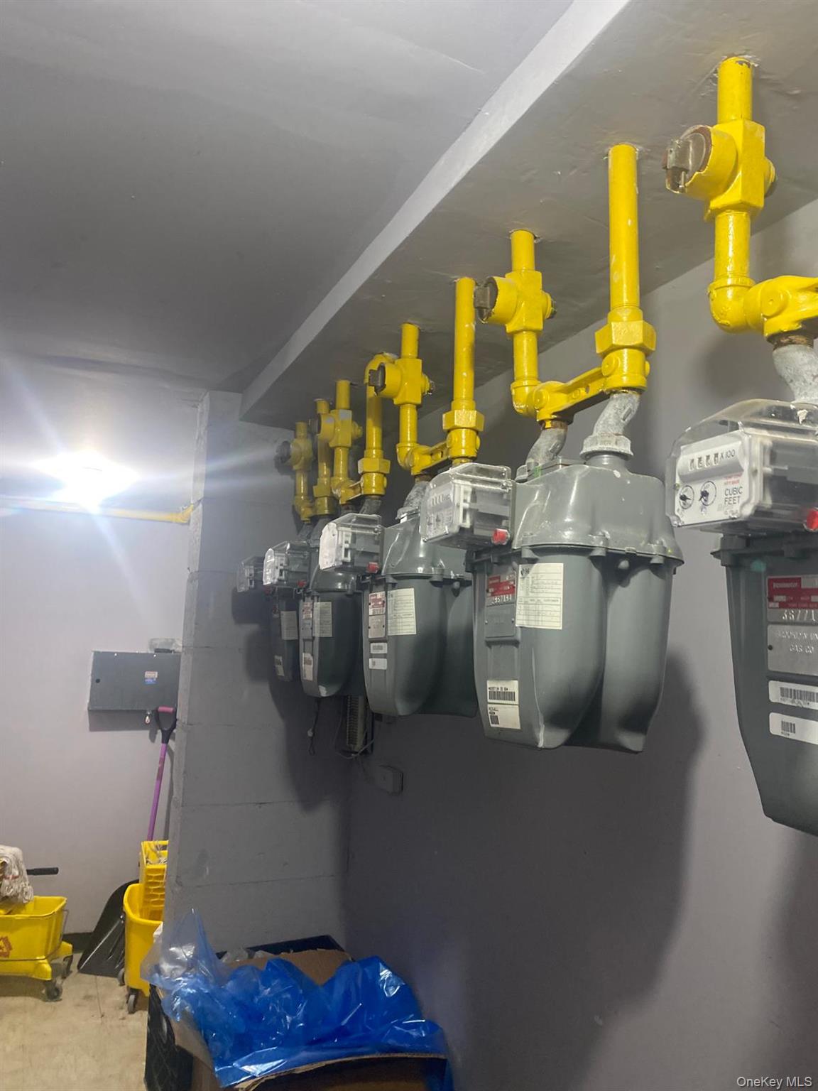 #14 photo, 5609 Van Cleef Street, クイーンズ区 Corona , NY 11368