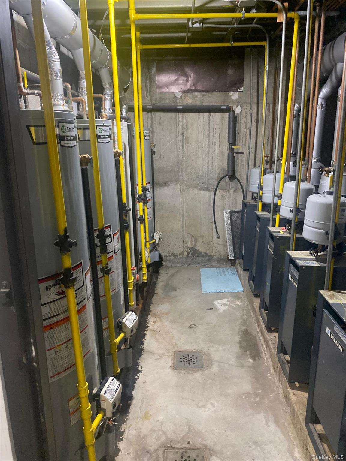 #13 photo, 5611 Van Cleef Street, クイーンズ区 Corona , NY 11368