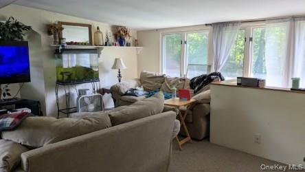 #18 photo, 22 Old Mill Road, Poughkeepsie , NY 12603