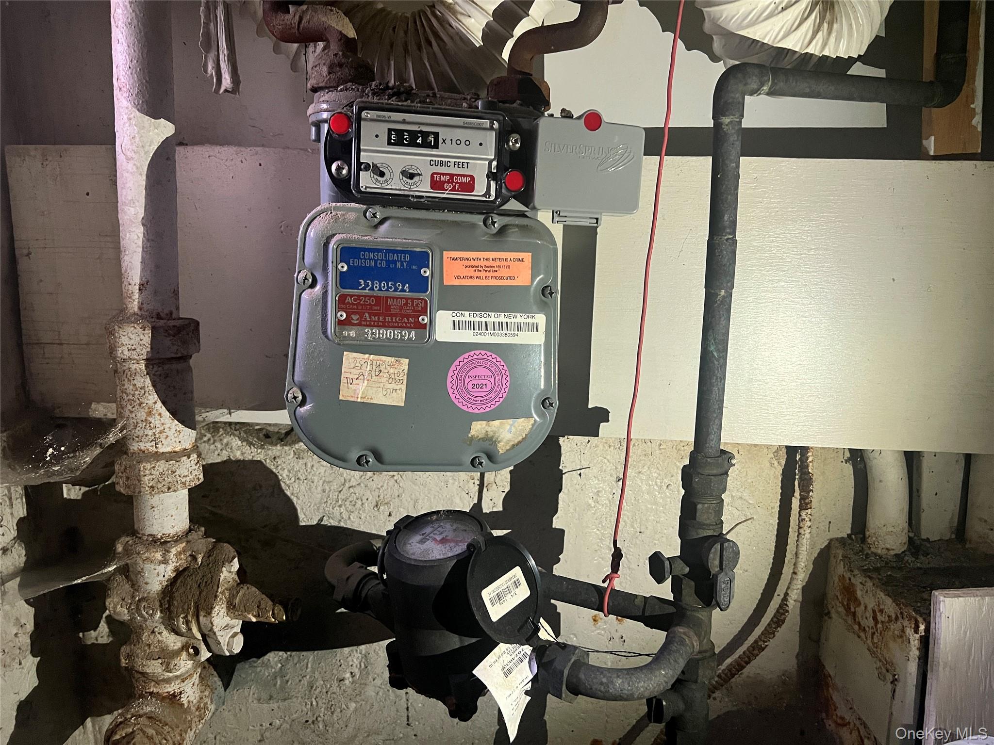 #11 photo, 3316 Radcliff Avenue, ブロンクス区 Bronx , NY 10469