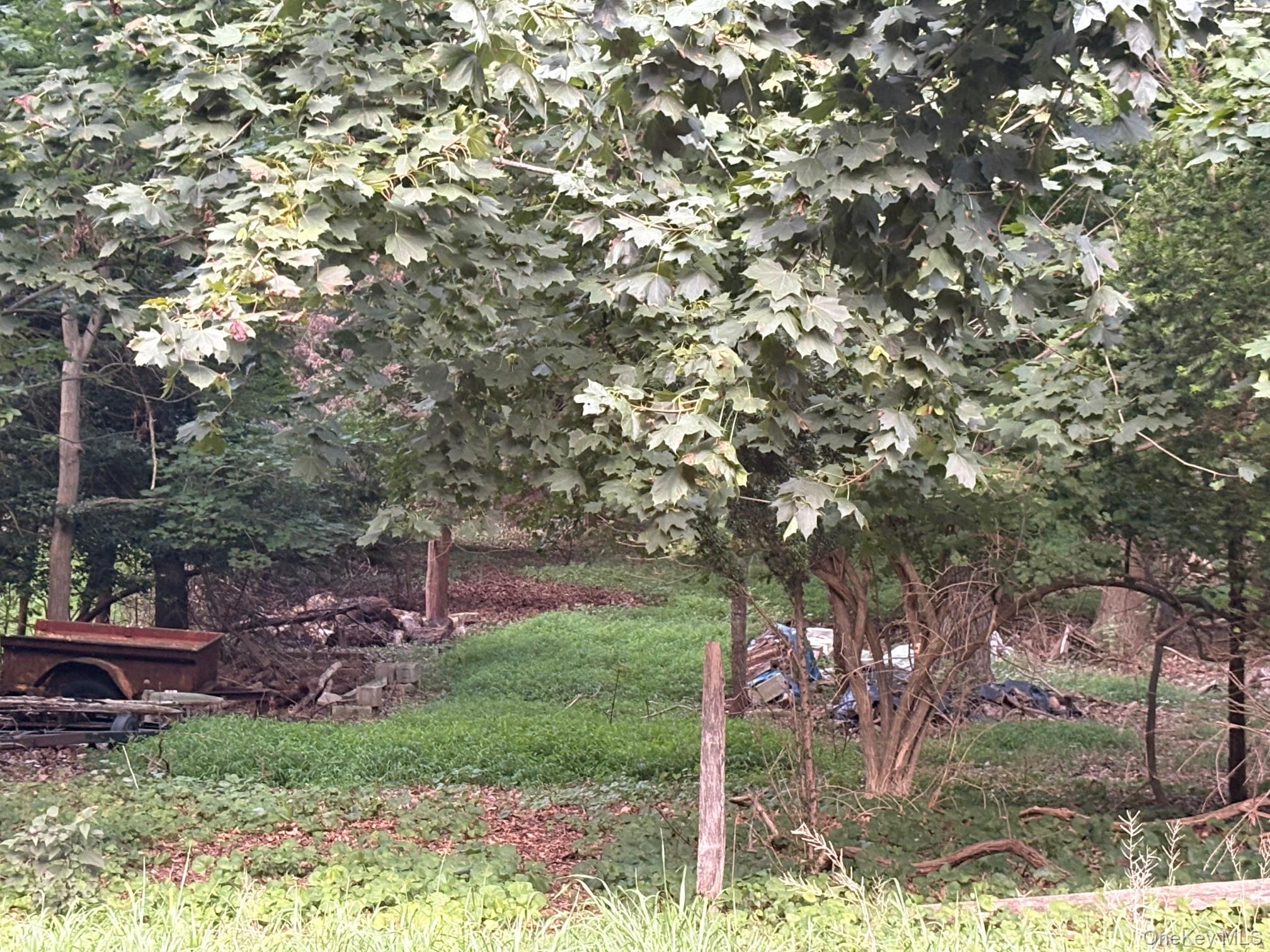 #2 photo, Dark Hollow Road, サフォーク郡 Port Jefferson , NY 11777