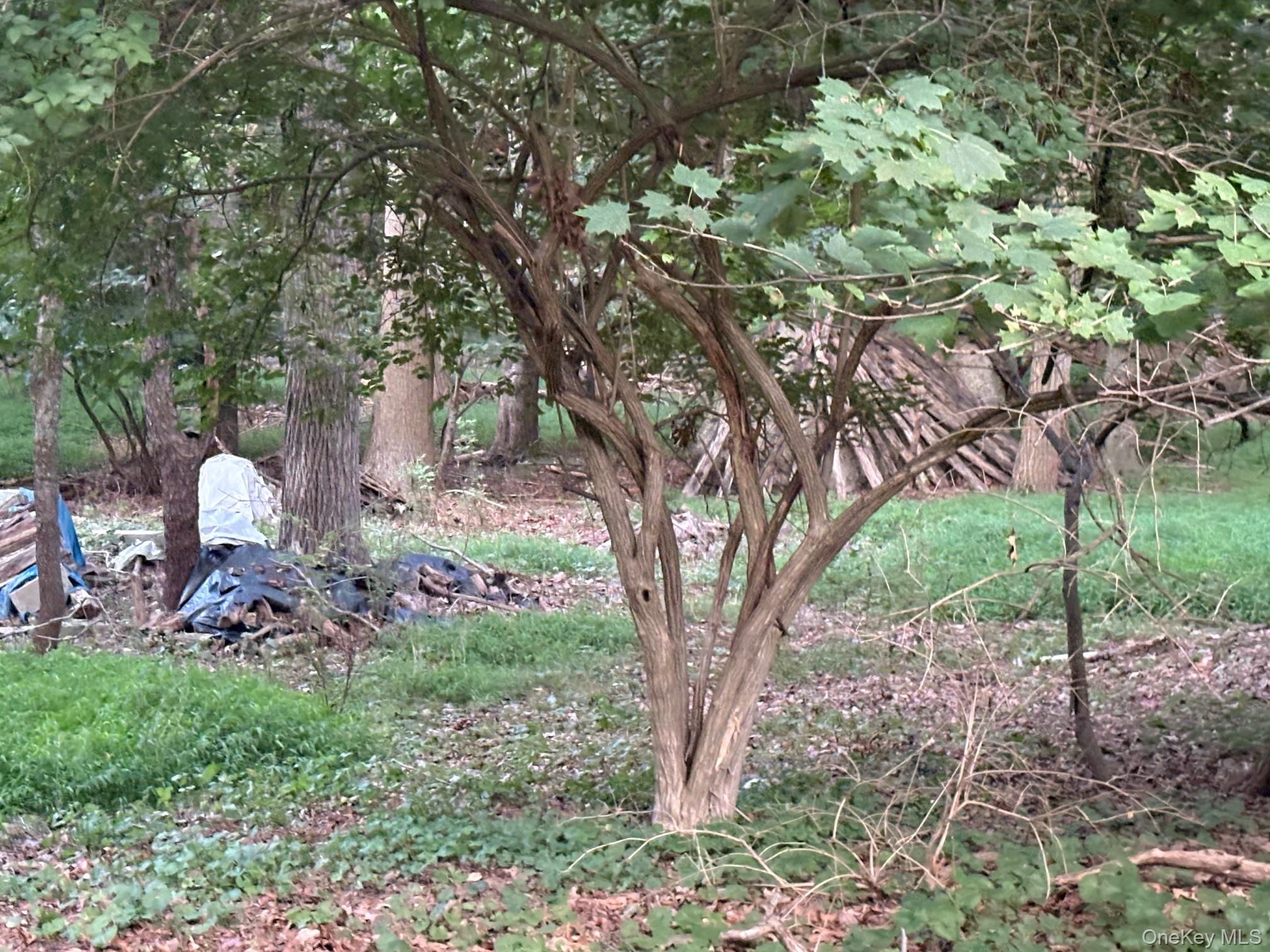 #3 photo, Dark Hollow Road, サフォーク郡 Port Jefferson , NY 11777