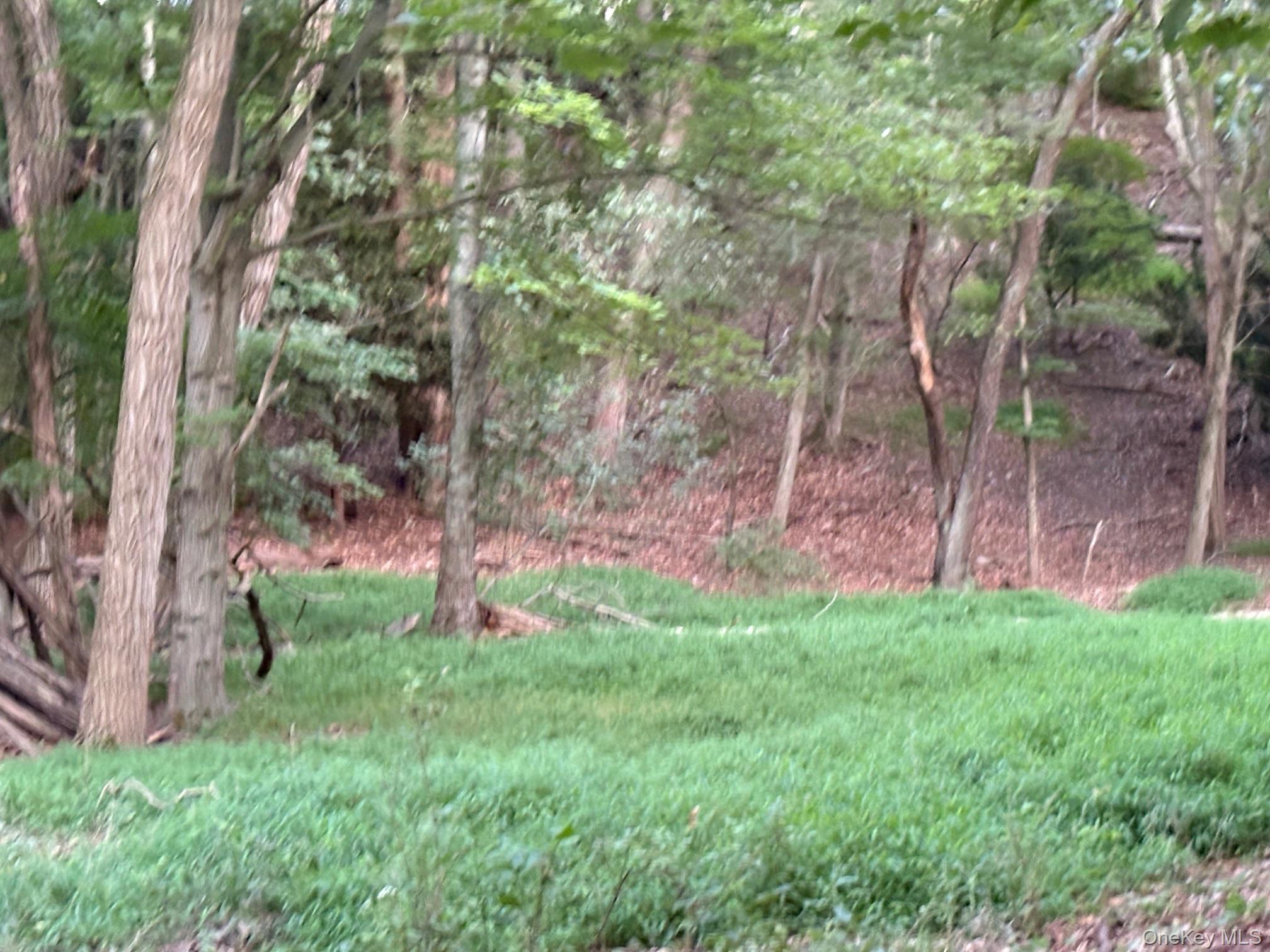 #4 photo, Dark Hollow Road, サフォーク郡 Port Jefferson , NY 11777