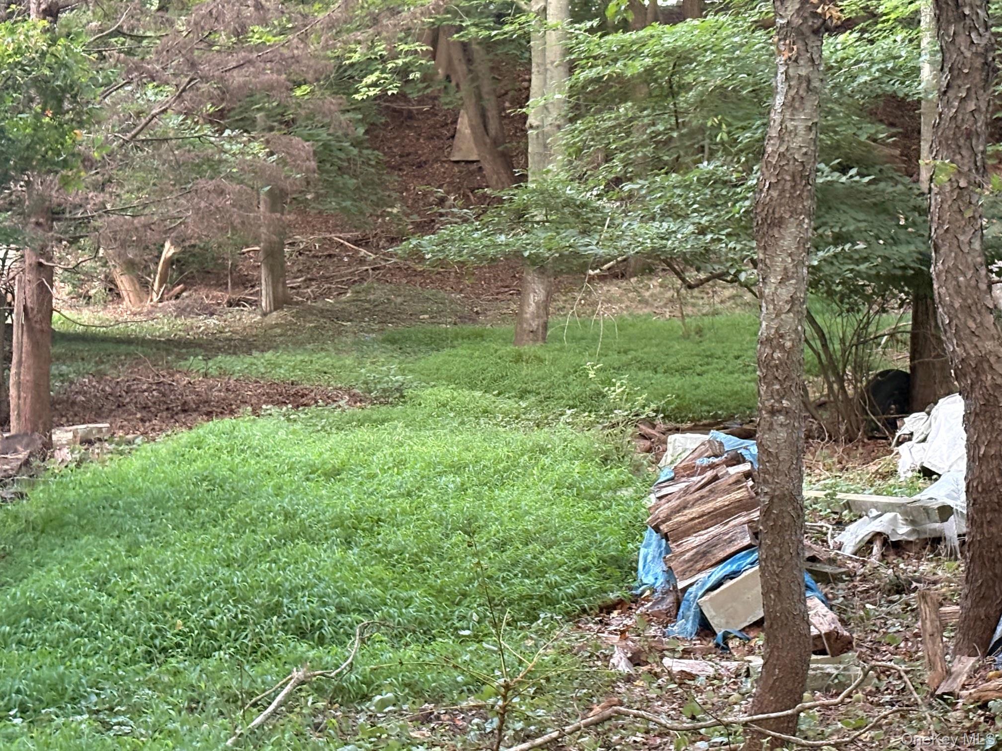 #5 photo, Dark Hollow Road, サフォーク郡 Port Jefferson , NY 11777