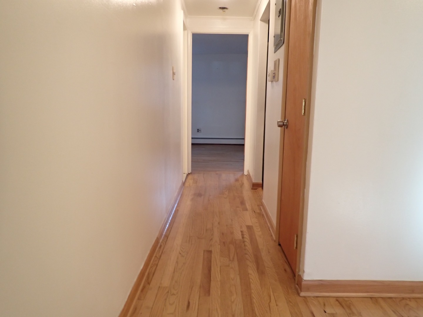 #3 photo, 326 Carlton Ave , #1, ブルックリン区 Fort Greene , NY 11205