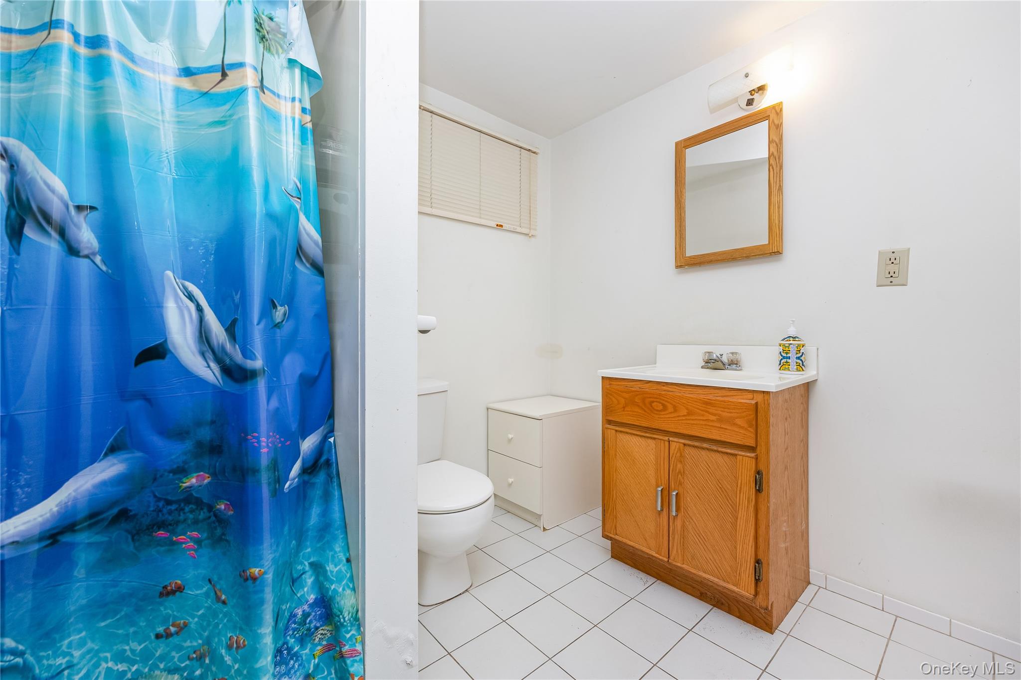 #19 photo, 1100 Wantagh, ナッソー郡 Wantagh , NY 11793