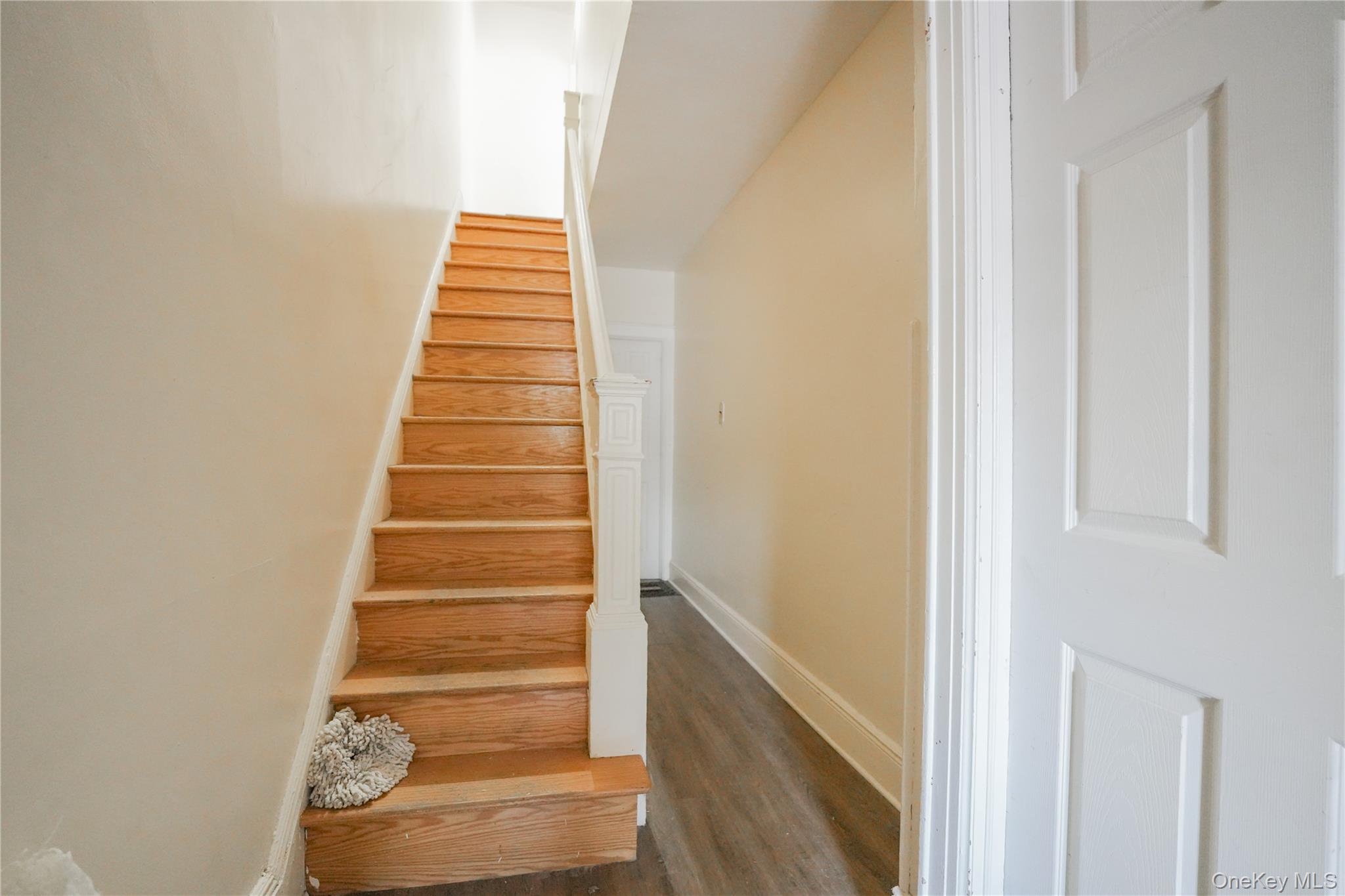 #17 photo, 6167 56th Street, クイーンズ区 Maspeth , NY 11378