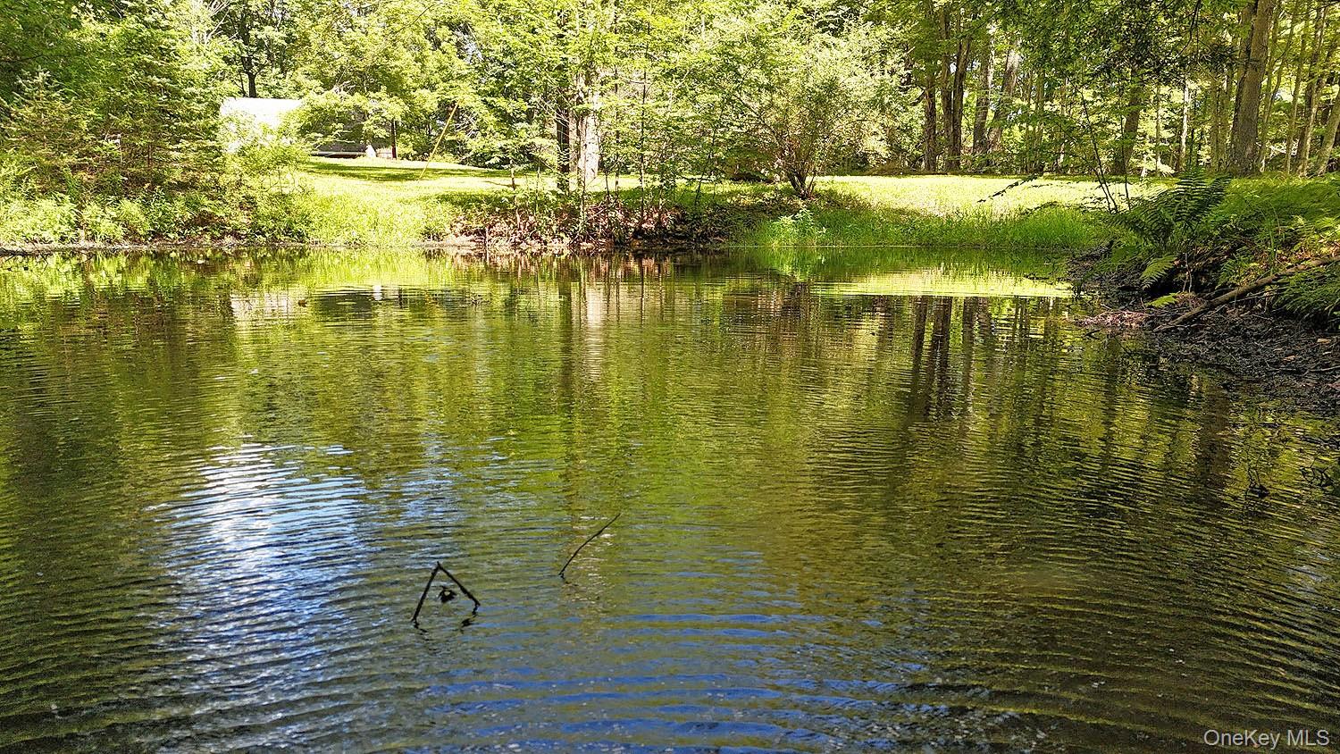 #5 photo, 178 W Simmon Road, Callicoon , NY 12723