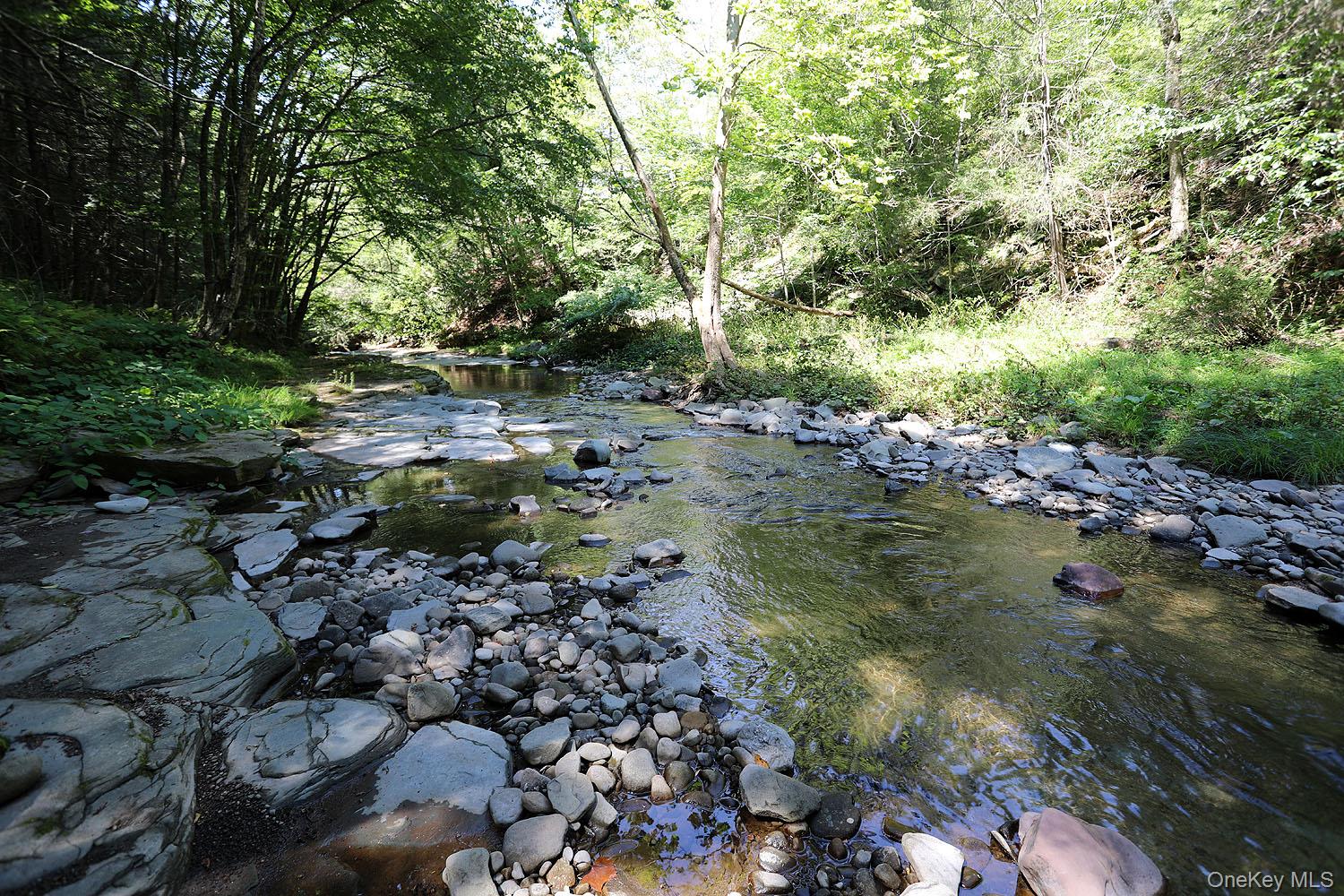 #6 photo, 178 W Simmon Road, Callicoon , NY 12723