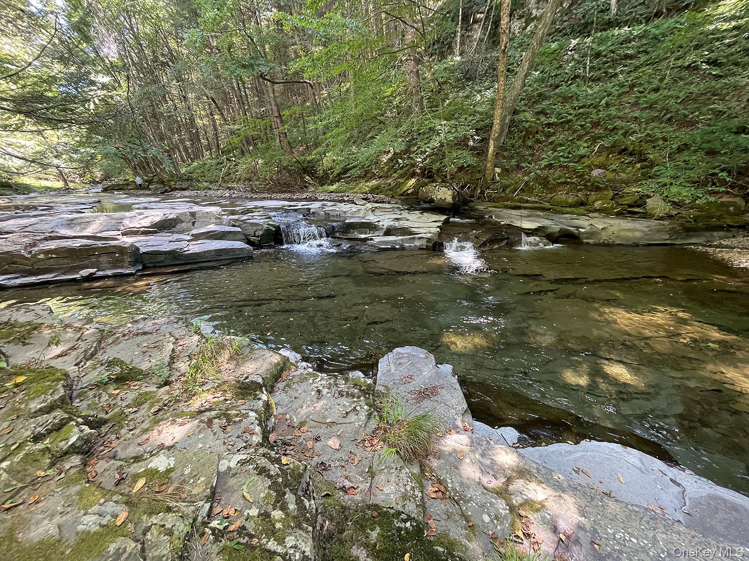 #7 photo, 178 W Simmon Road, Callicoon , NY 12723