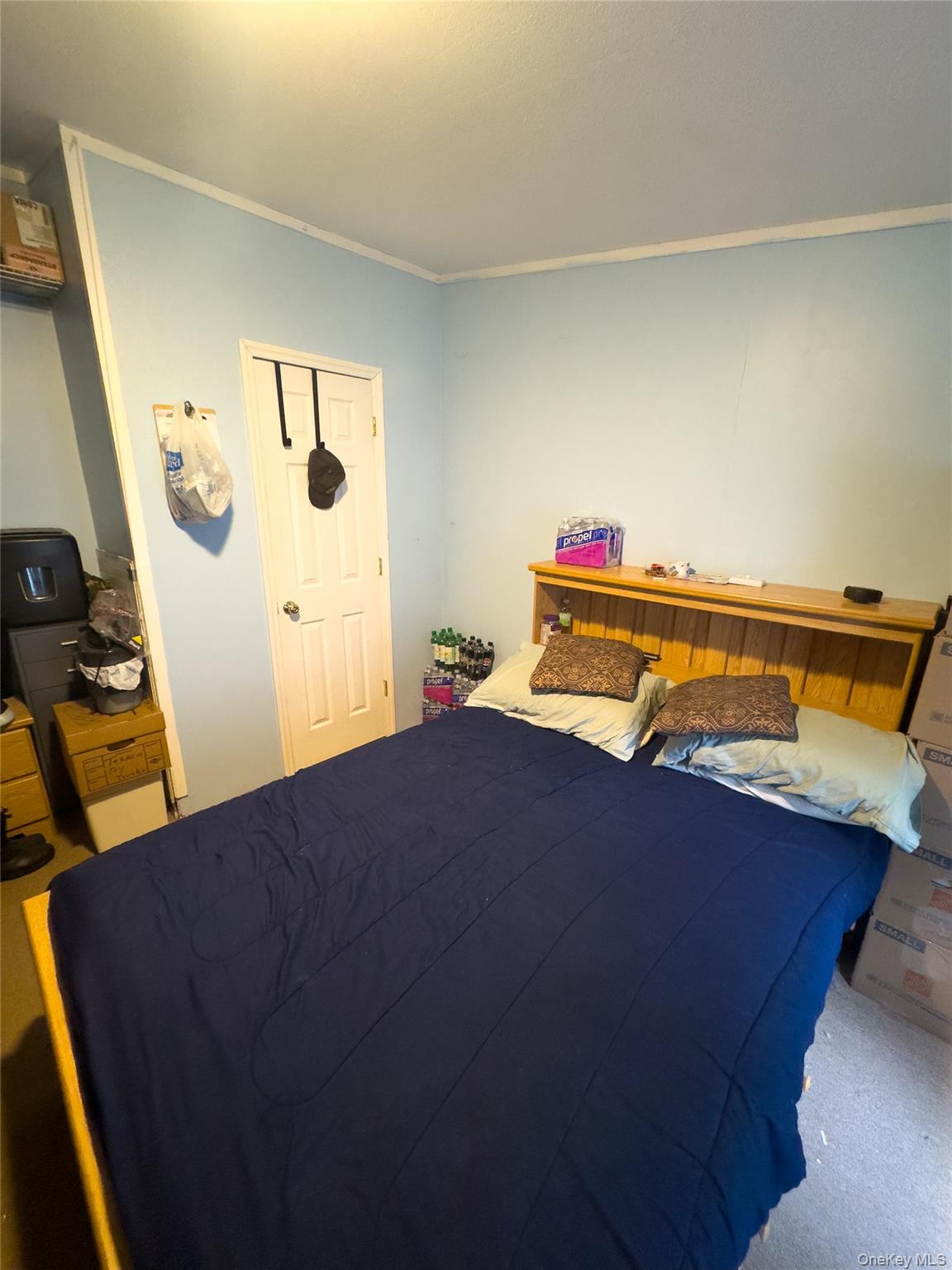 #19 photo, 1 Lake View Drive, Grahamsville , NY 12788