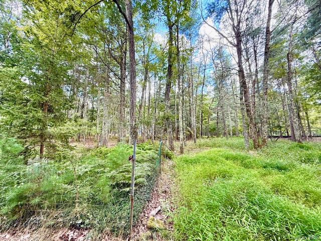 #14 photo, 8 Anna Drive, Glen Spey , NY 12737