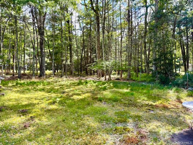 #15 photo, 8 Anna Drive, Glen Spey , NY 12737