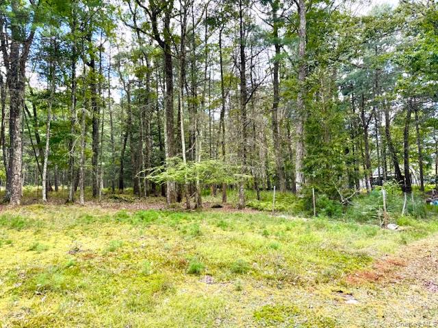 #5 photo, 8 Anna Drive, Glen Spey , NY 12737