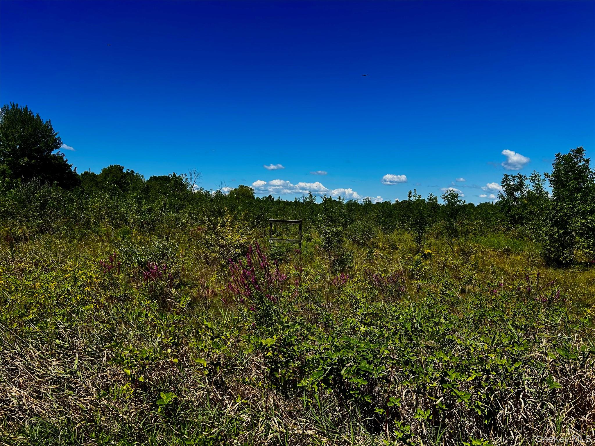 #5 photo, 00 N Vernon, Athens , NY 