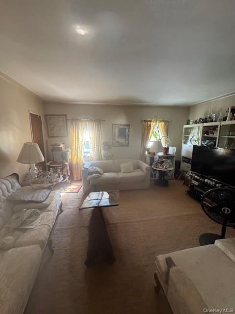 #7 photo, 841 E 226th Street, ブロンクス区 Bronx , NY 10466