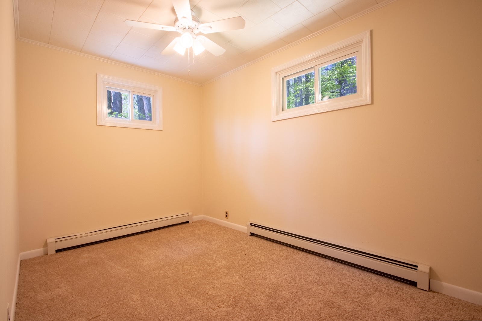 #18 photo, 10313 County Hwy 17, East Branch , NY 13756