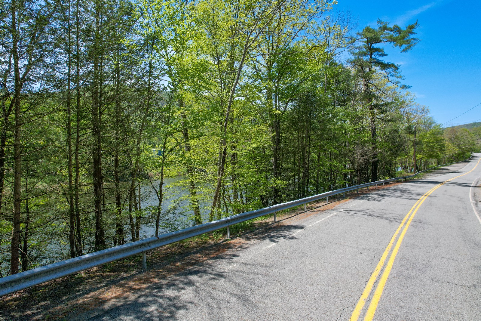 #8 photo, 10313 County Hwy 17, East Branch , NY 13756