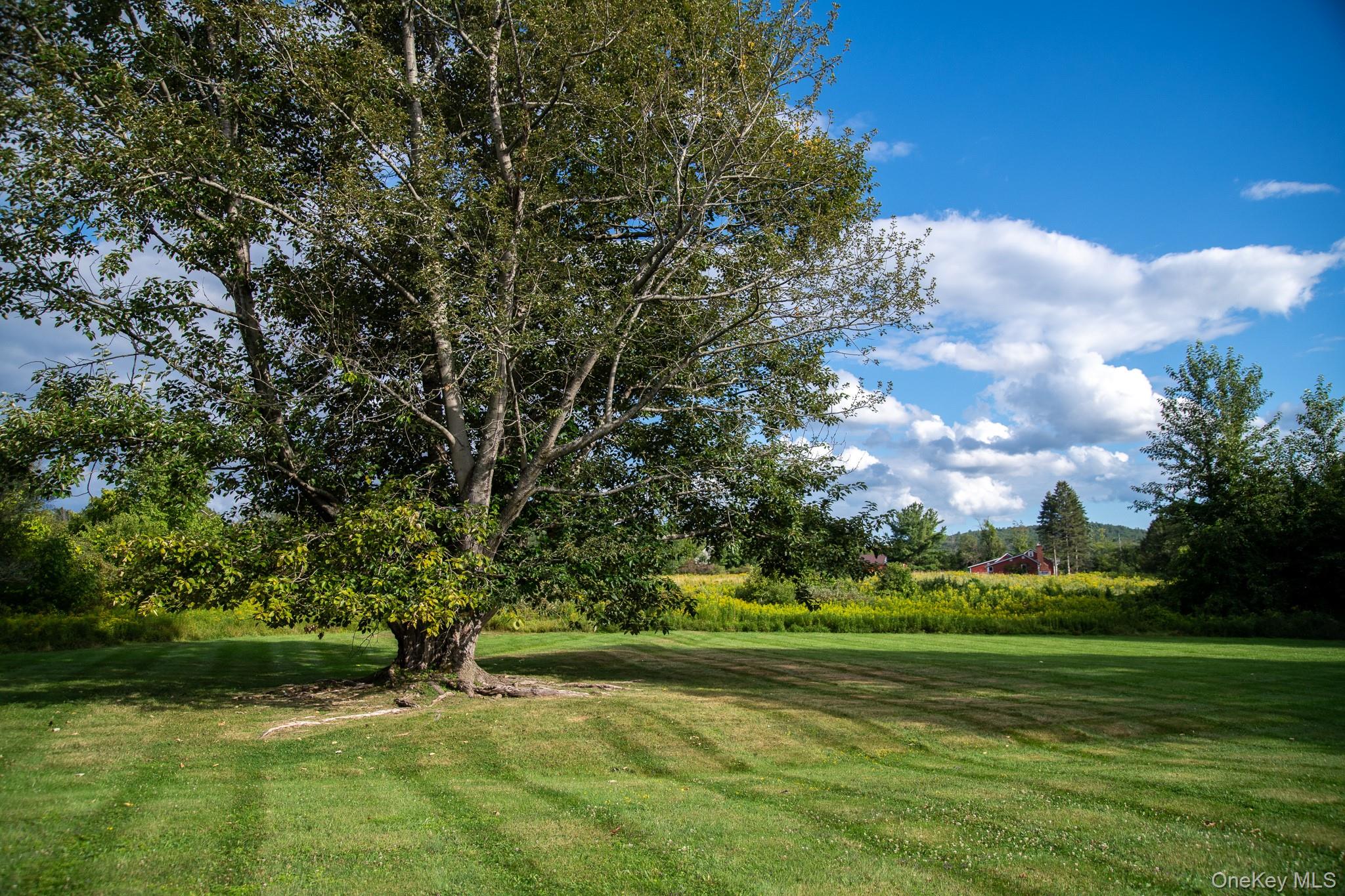 #6 photo, 314 Schoolhouse Road, Ghent , NY 12017