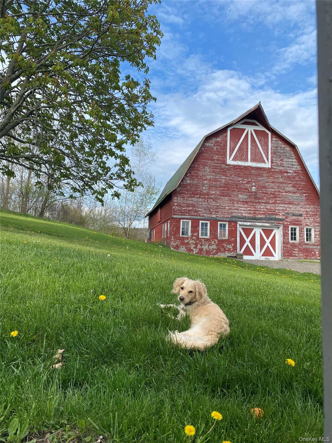 #7 photo, 314 Schoolhouse Road, Ghent , NY 12017