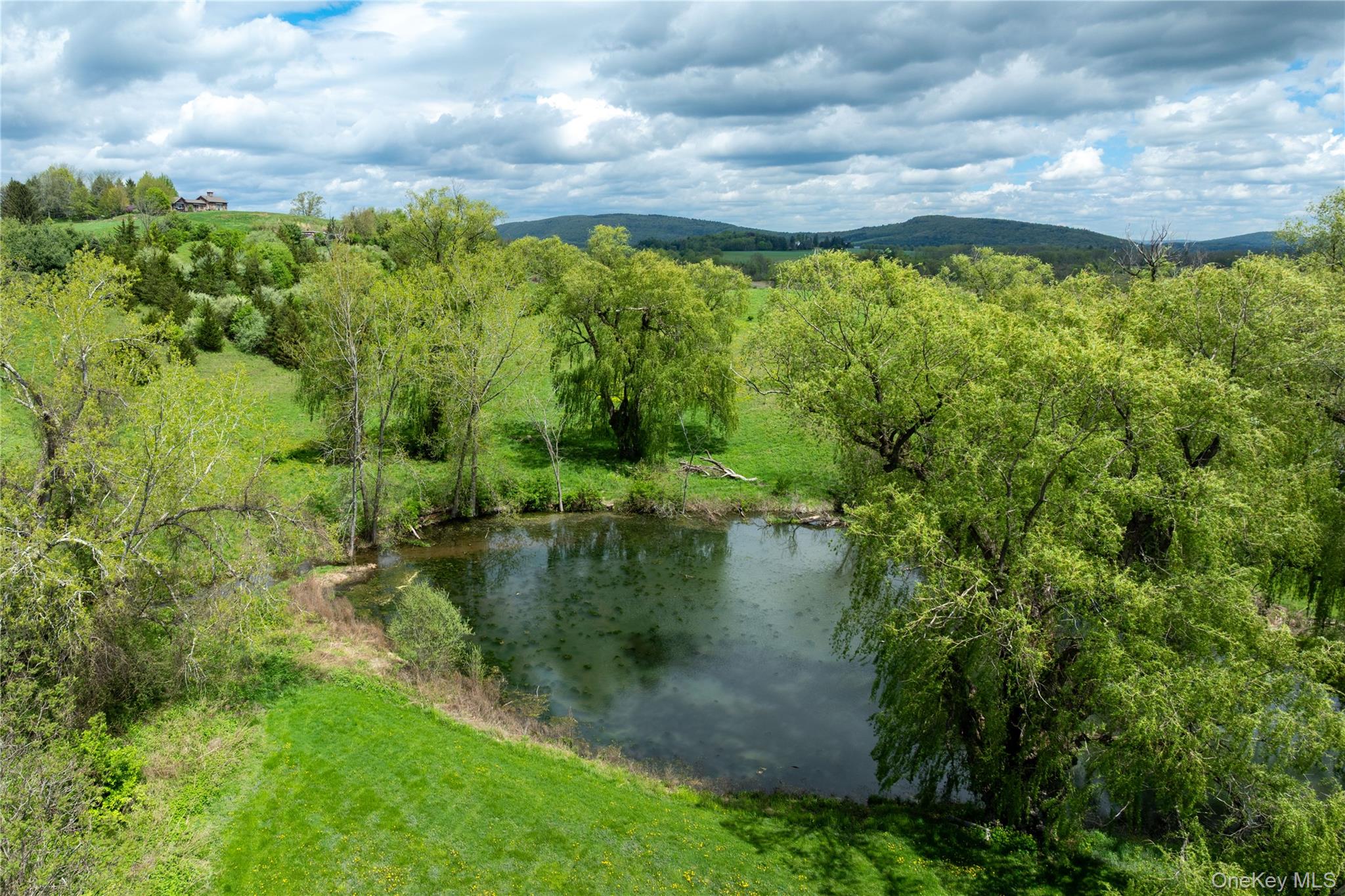 #15 photo, 12-19 Goose Pond Lane, Millerton , NY 12546