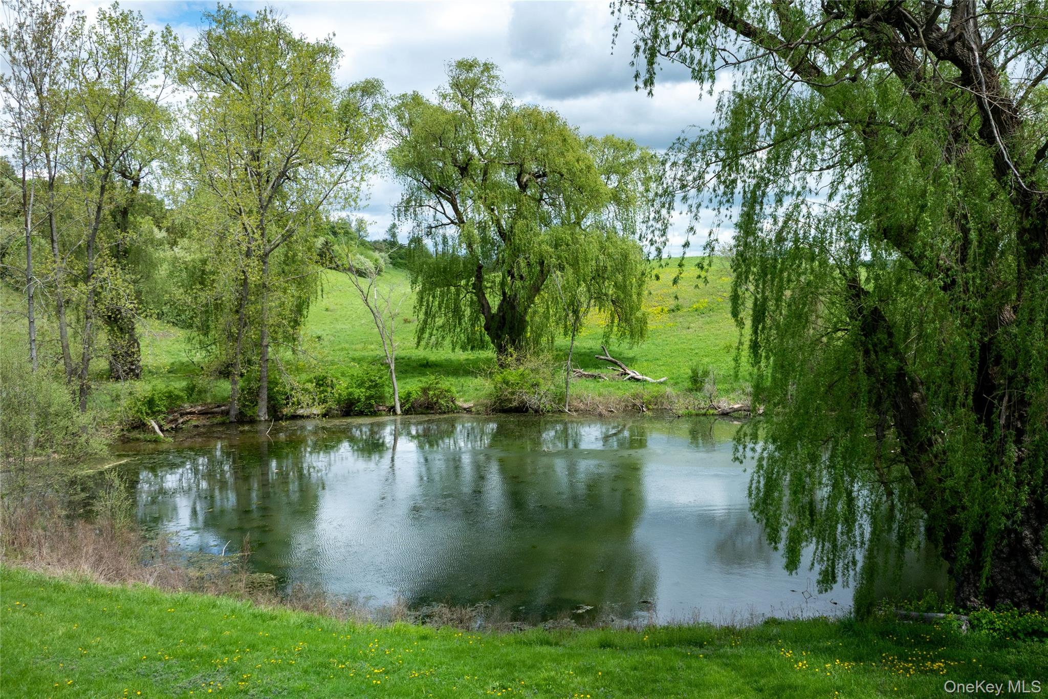 #3 photo, 12-19 Goose Pond Lane, Millerton , NY 12546