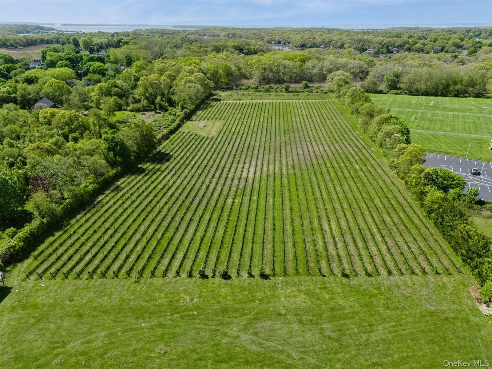 #4 photo, 35950 Main Road, サフォーク郡 Cutchogue , NY 11935