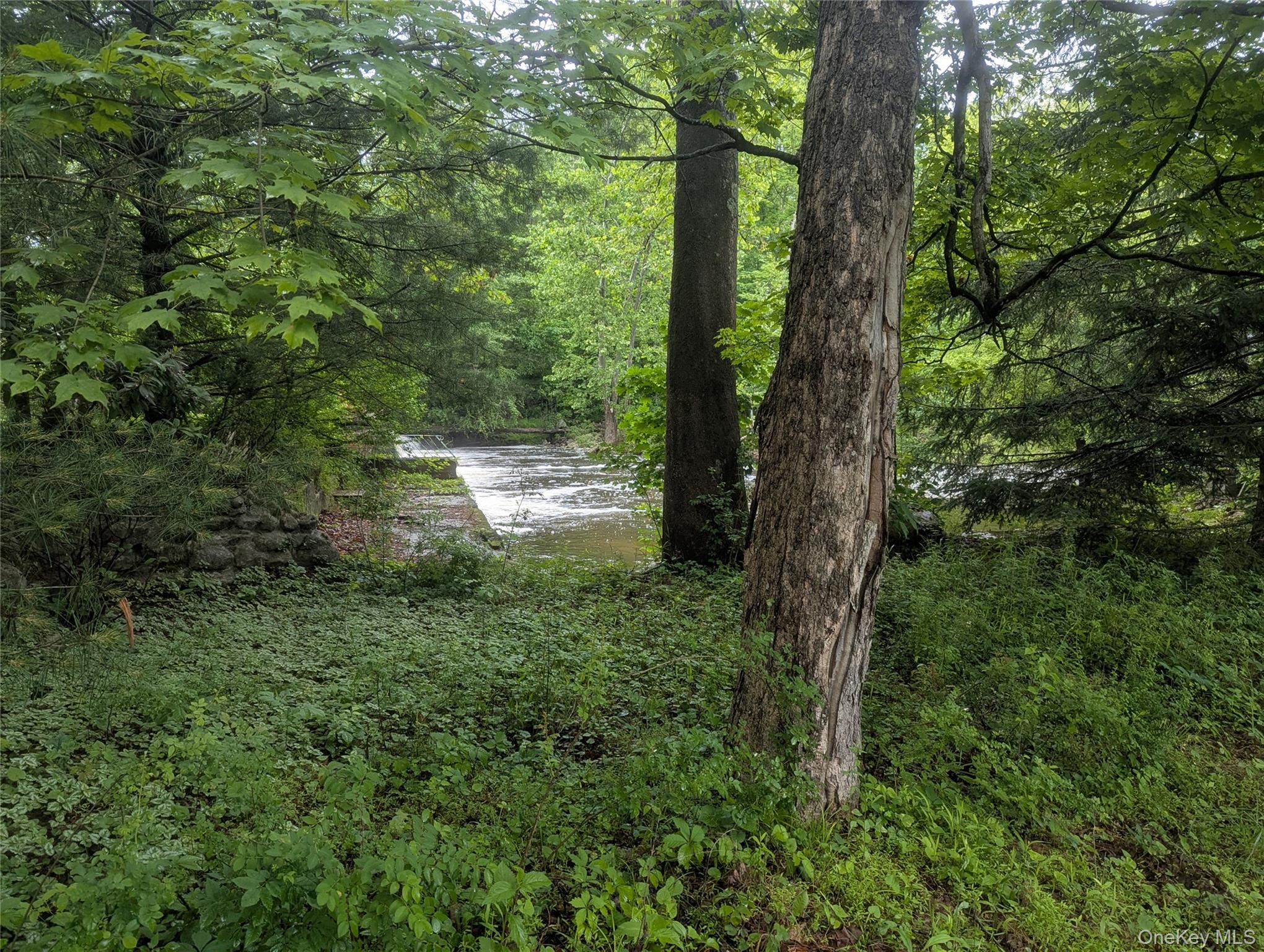 #15 photo, 6 Crawford Street, Pine Bush , NY 12566