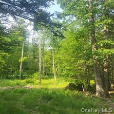 #4 photo, Pine Street, Wurtsboro , NY 12790