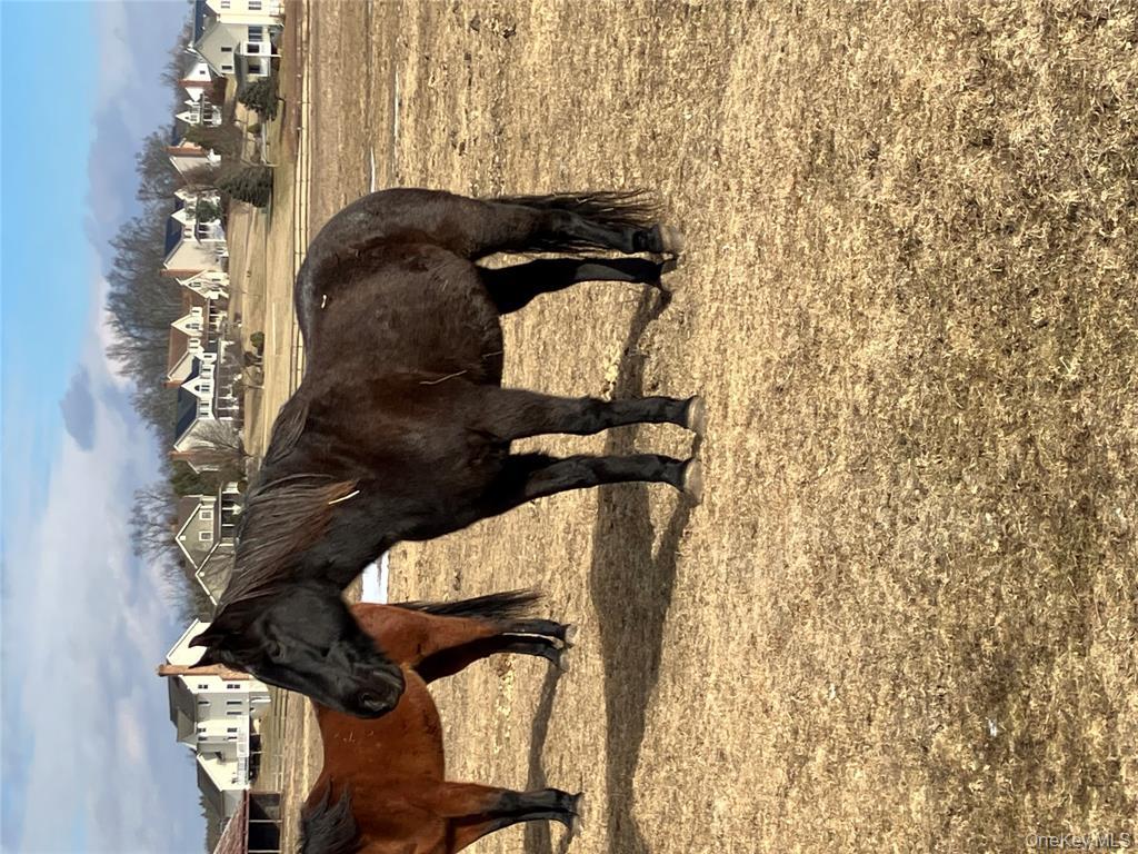 #14 photo, 133 Ridgebury Road, New Hampton , NY 10958