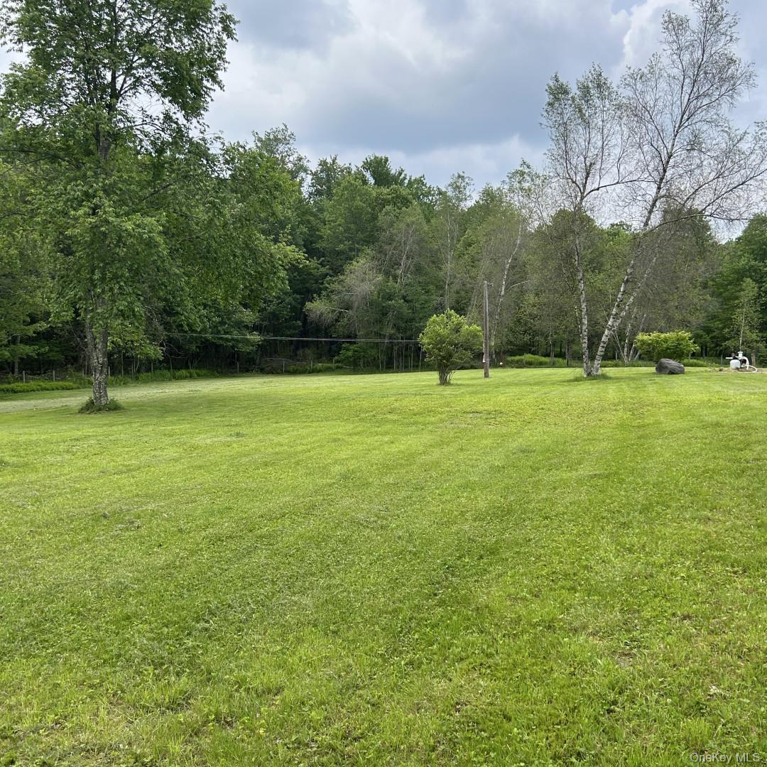 #5 photo, 69 Crabby Road, Loch Sheldrake , NY 12759