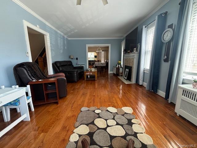 #8 photo, 456 Macatee Place, 长岛 Mineola , NY 11501