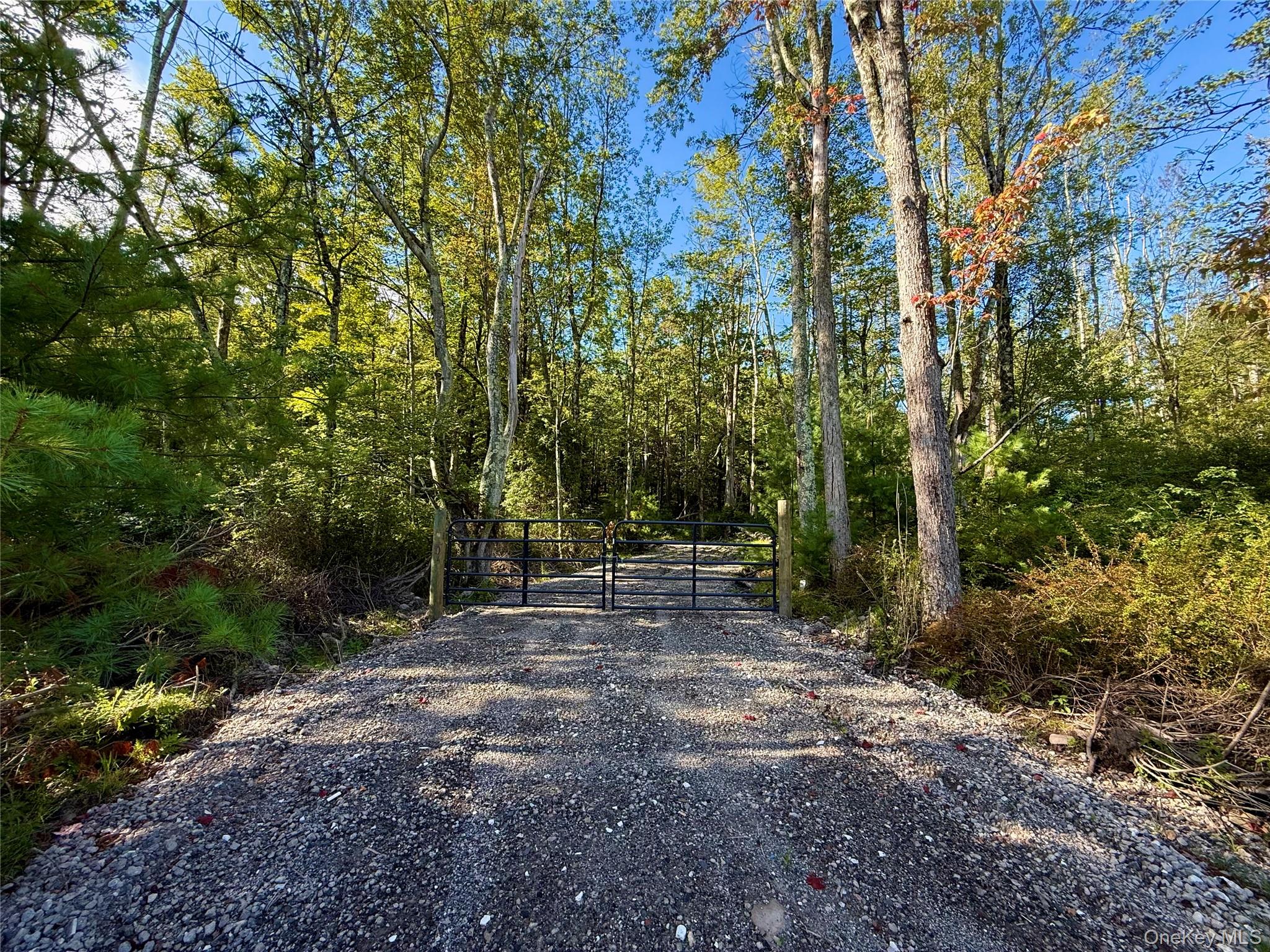 #2 photo, Mt Prosper Road, Wurtsboro , NY 12790