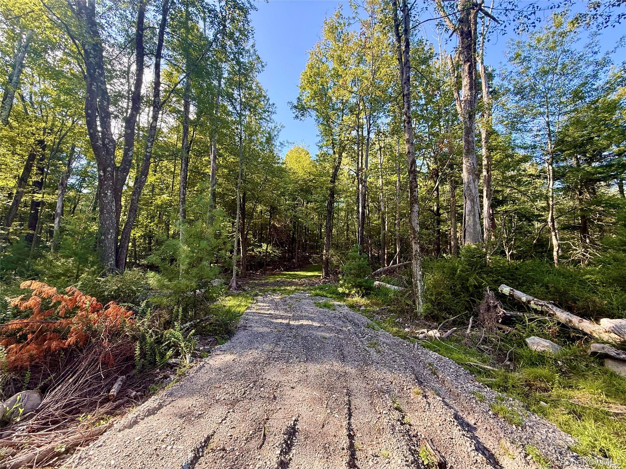 #3 photo, Mt Prosper Road, Wurtsboro , NY 12790