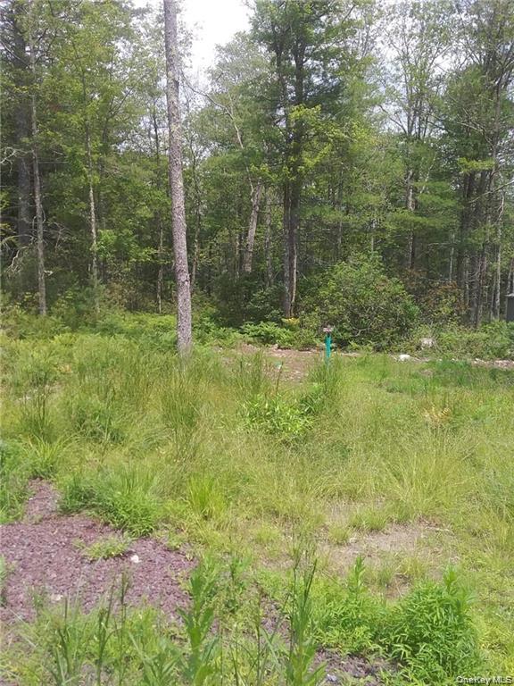 #3 photo, 1131 Forestburgh Road, Glen Spey , NY 12737