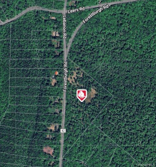 #4 photo, 1131 Forestburgh Road, Glen Spey , NY 12737