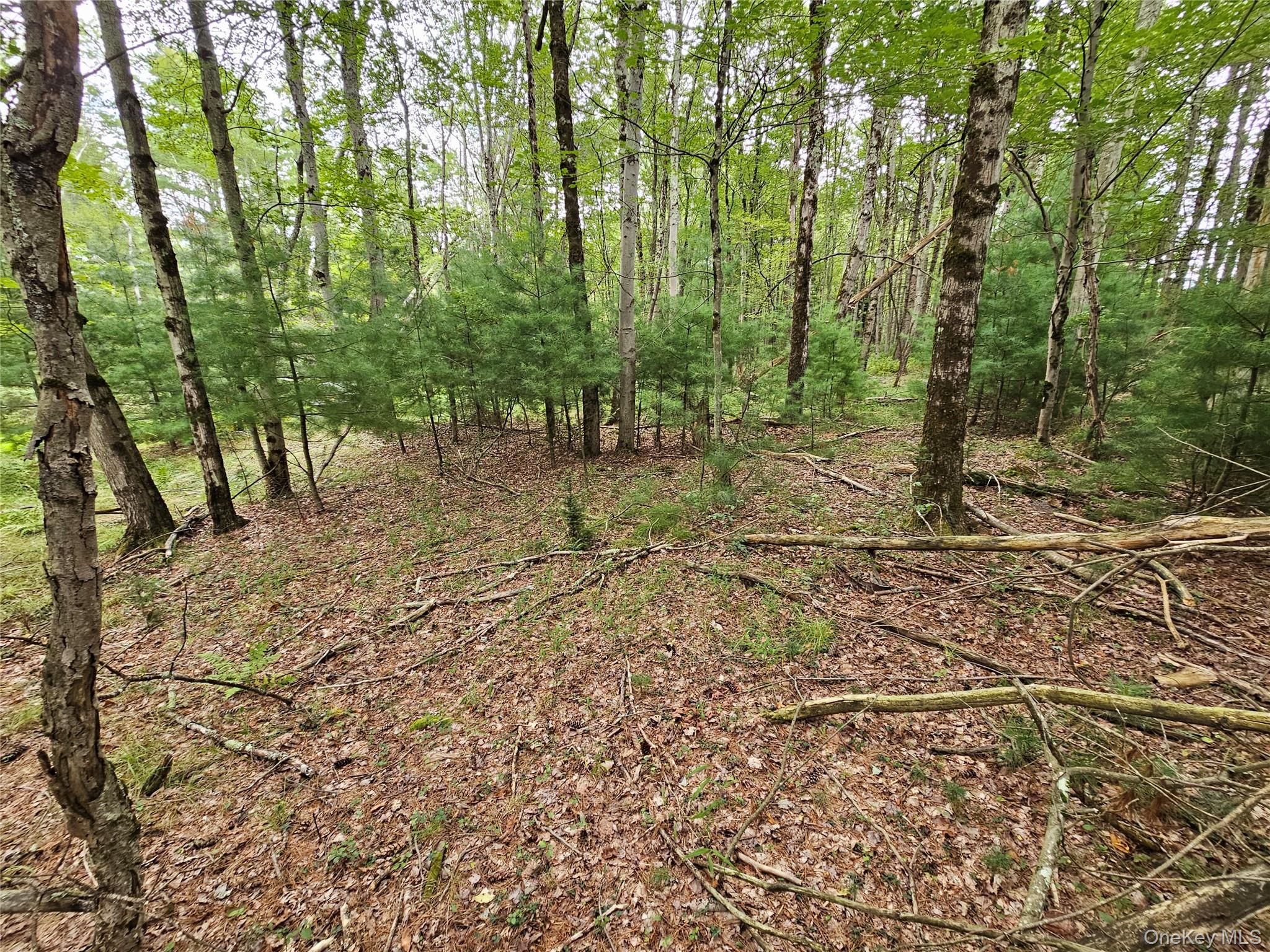 #10 photo, Flower Ave. & State Route 55, Kauneonga Lake , NY 12720