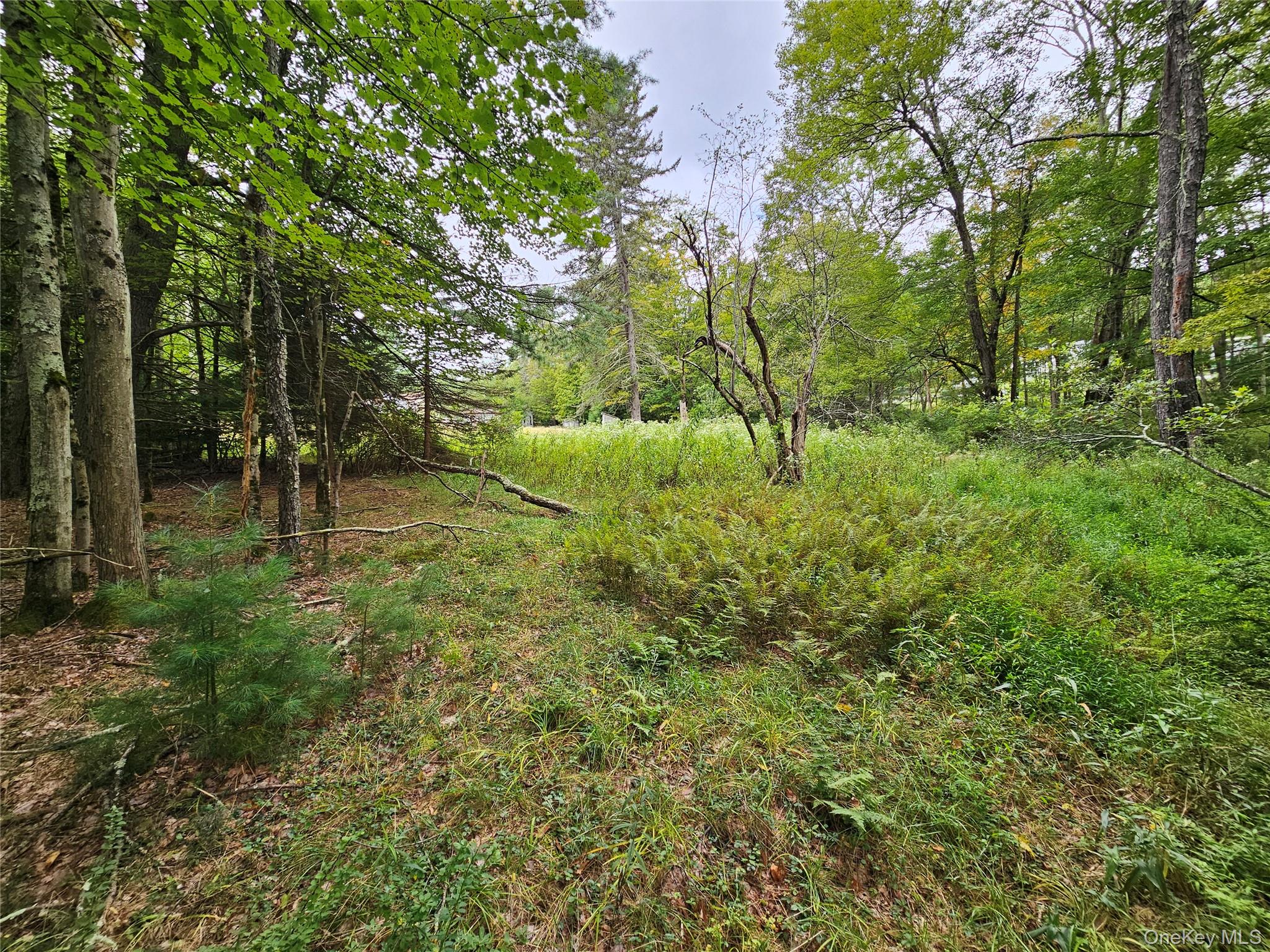 #11 photo, Flower Ave. & State Route 55, Kauneonga Lake , NY 12720