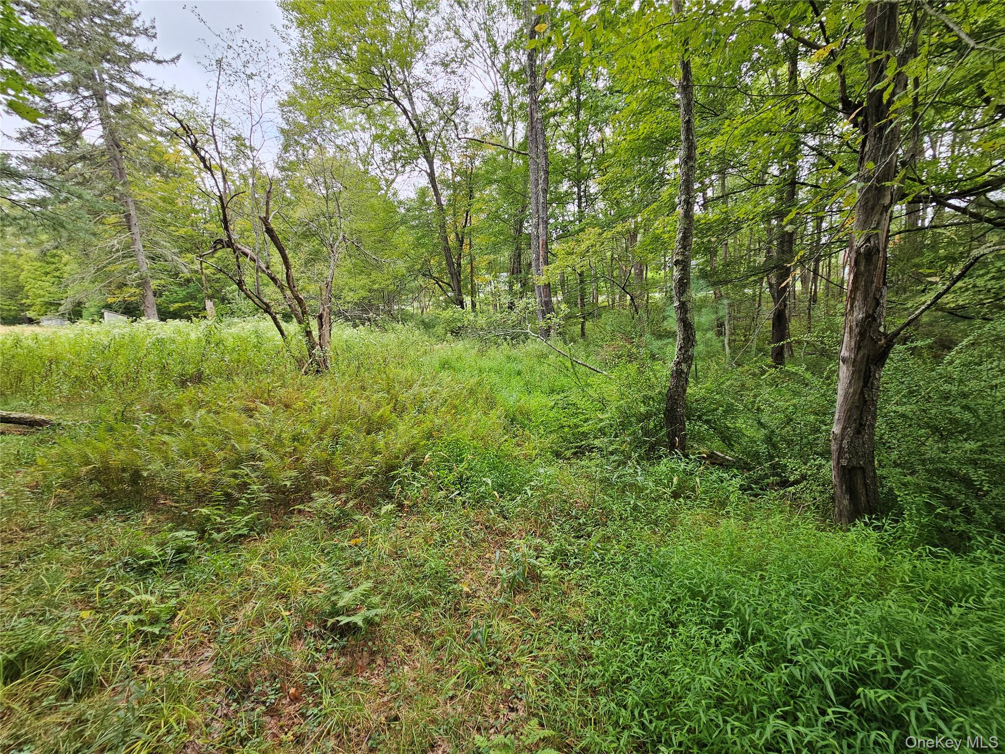 #12 photo, Flower Ave. & State Route 55, Kauneonga Lake , NY 12720