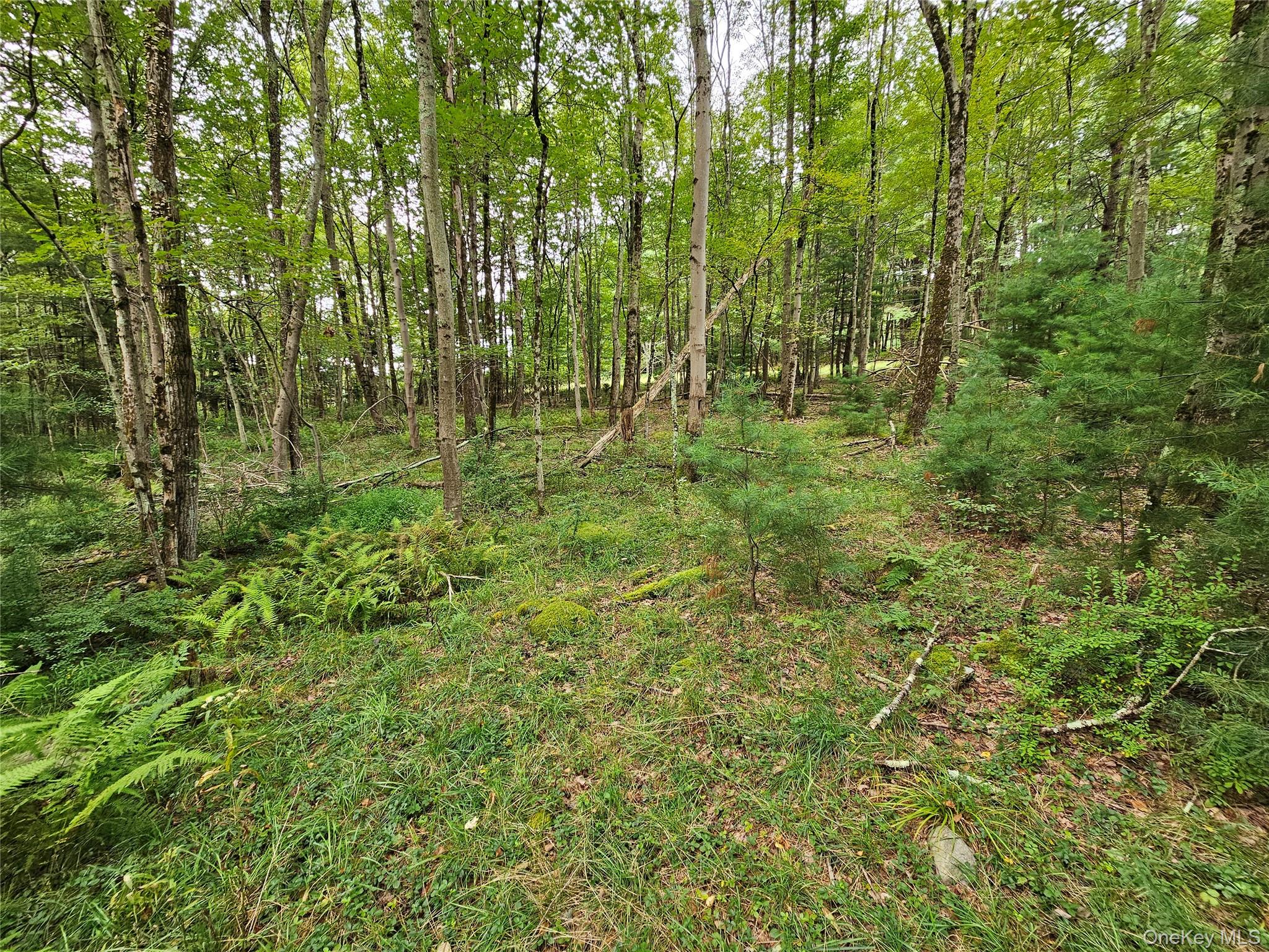 #13 photo, Flower Ave. & State Route 55, Kauneonga Lake , NY 12720