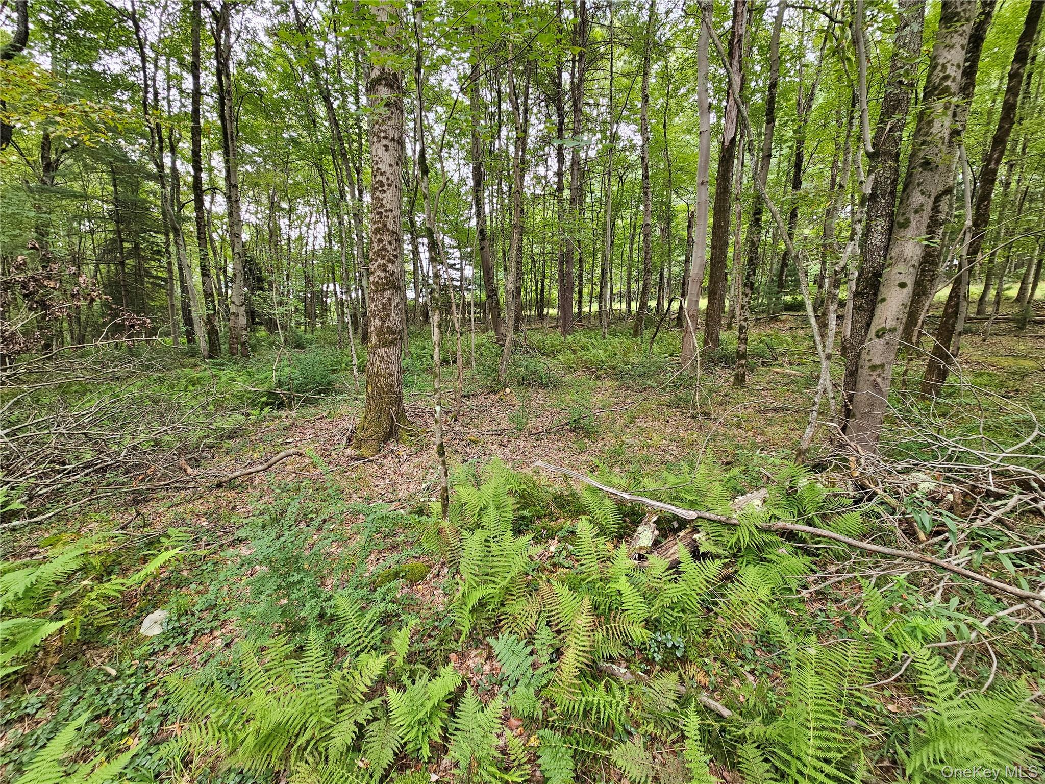 #14 photo, Flower Ave. & State Route 55, Kauneonga Lake , NY 12720