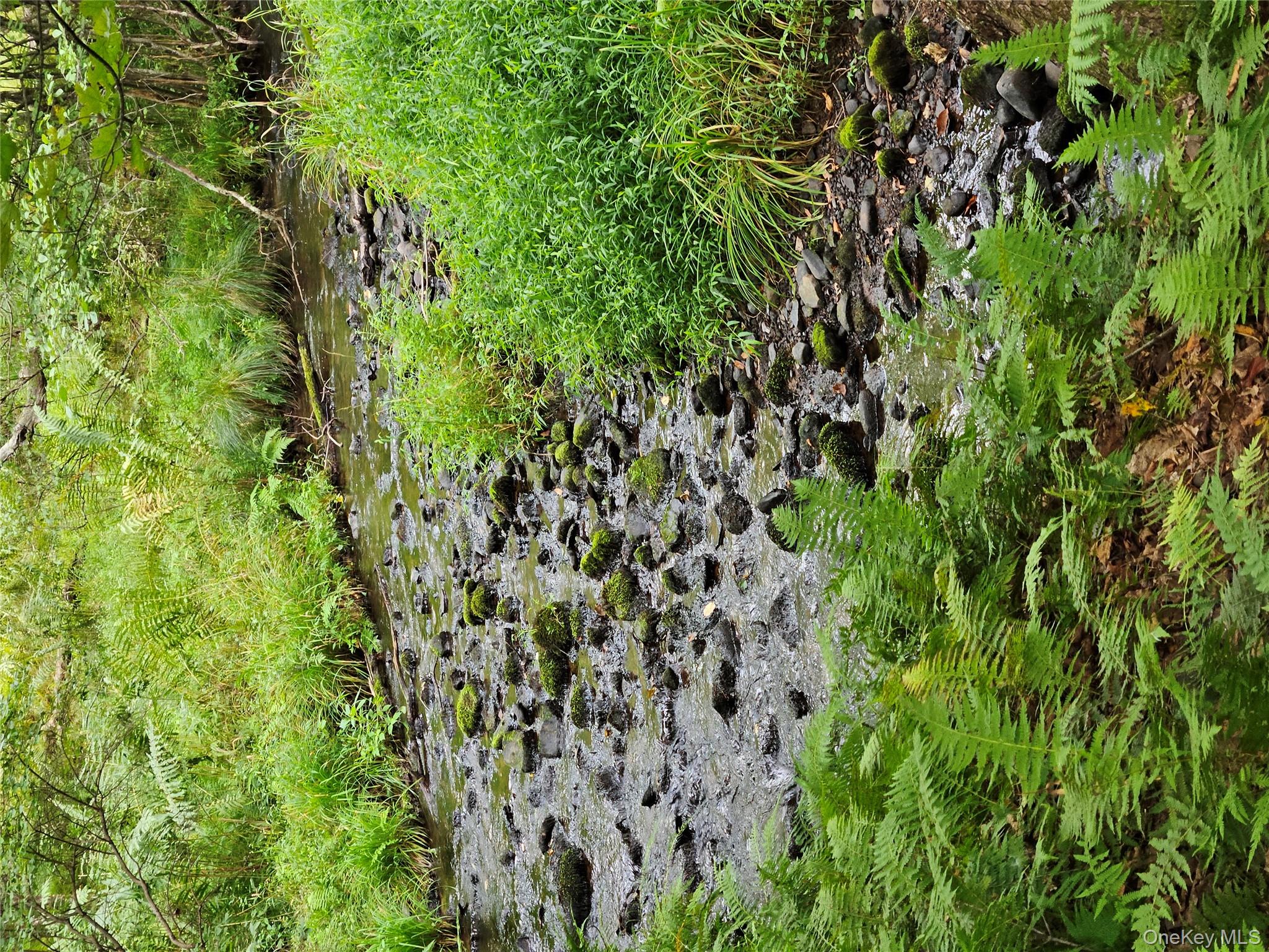 #15 photo, Flower Ave. & State Route 55, Kauneonga Lake , NY 12720