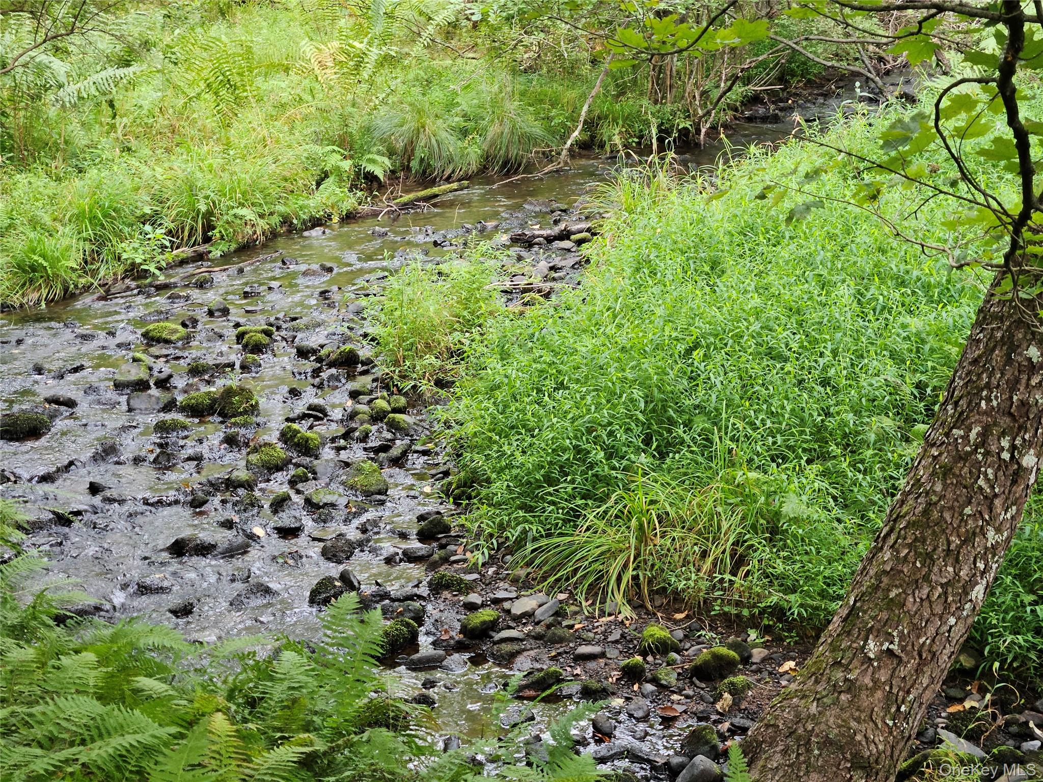 #16 photo, Flower Ave. & State Route 55, Kauneonga Lake , NY 12720