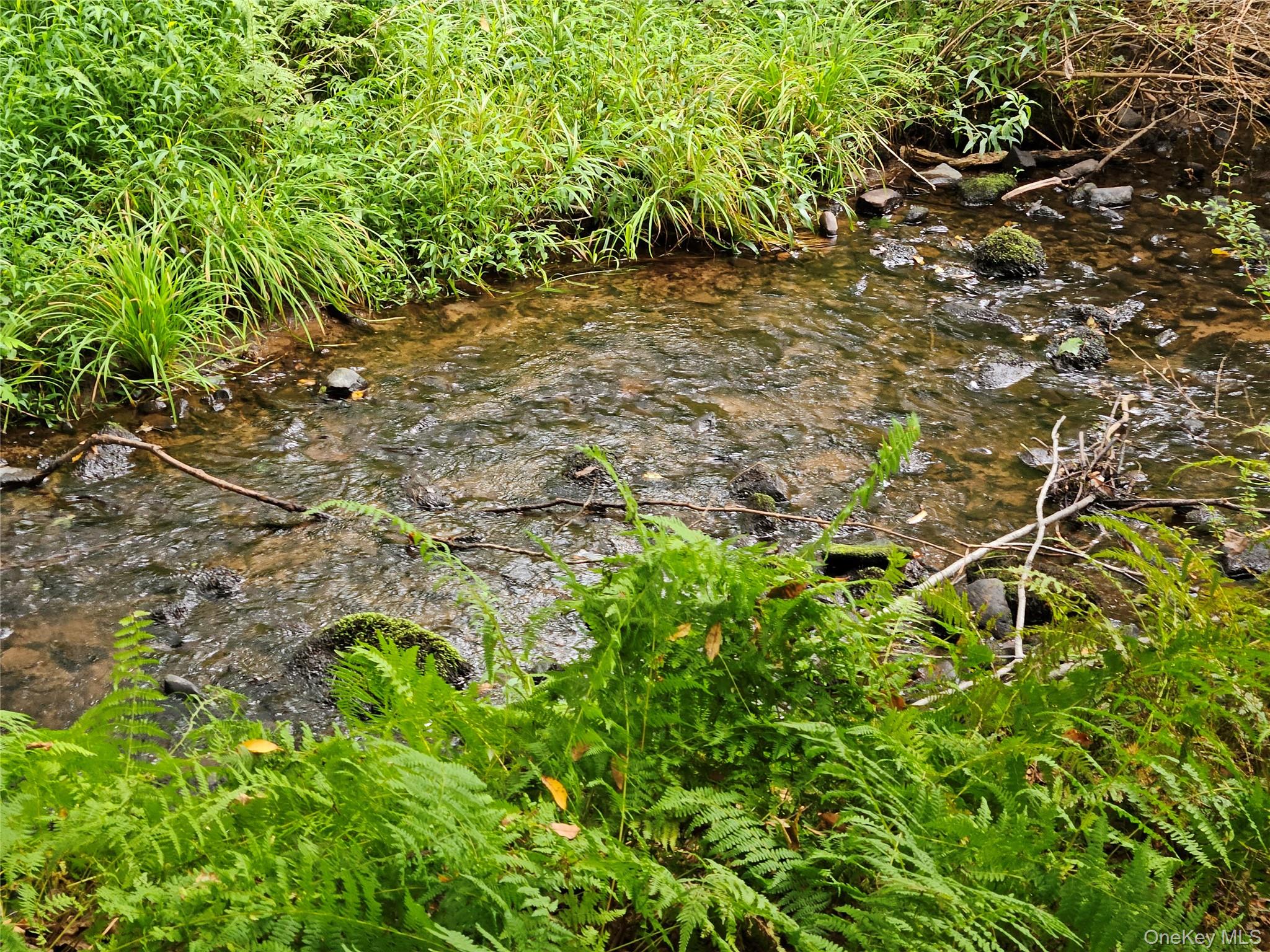 #17 photo, Flower Ave. & State Route 55, Kauneonga Lake , NY 12720