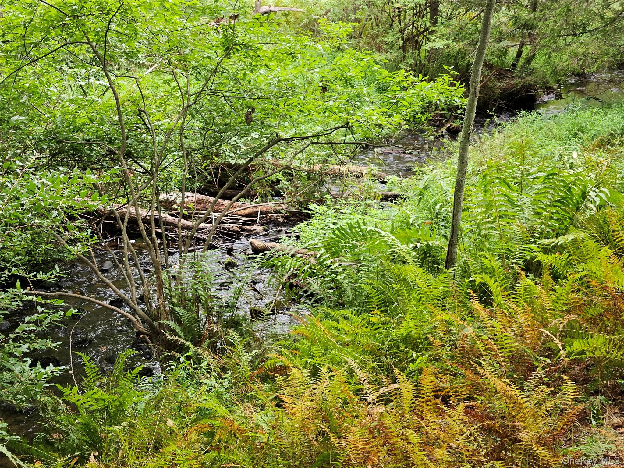 #18 photo, Flower Ave. & State Route 55, Kauneonga Lake , NY 12720