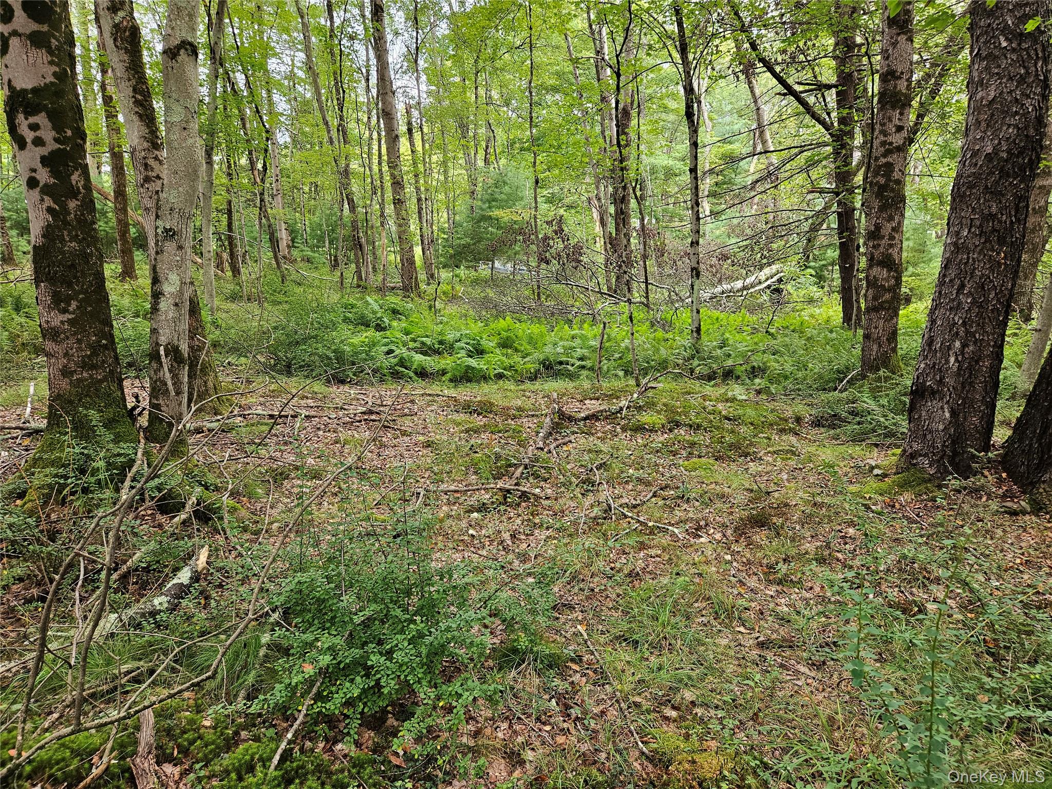 #19 photo, Flower Ave. & State Route 55, Kauneonga Lake , NY 12720