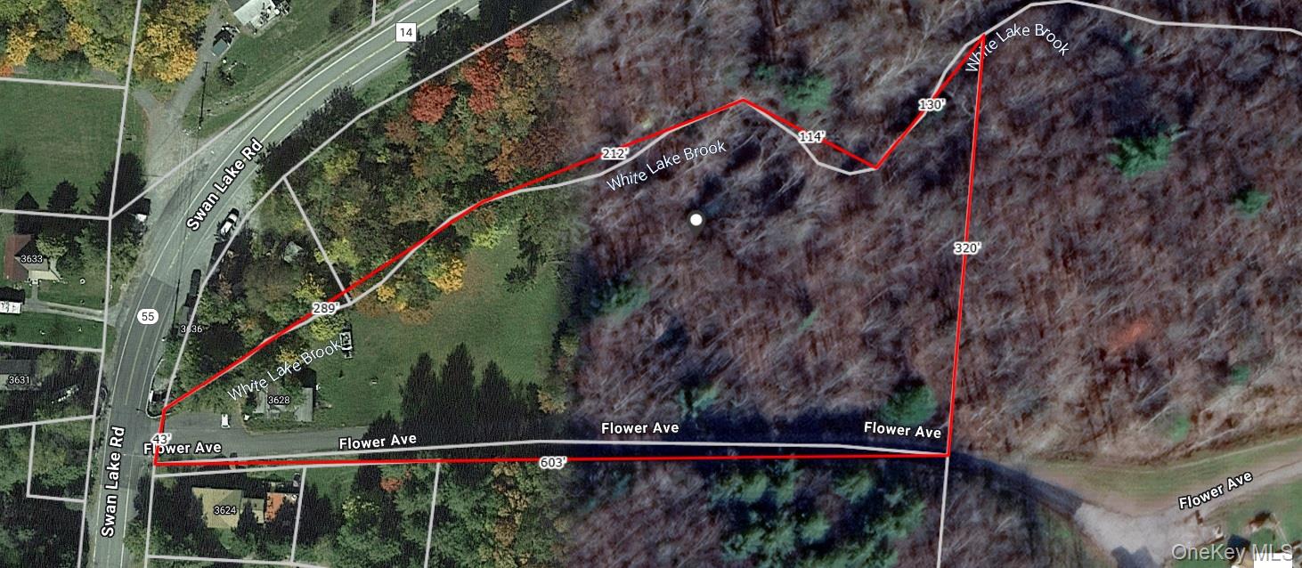 #2 photo, Flower Ave. & State Route 55, Kauneonga Lake , NY 12720