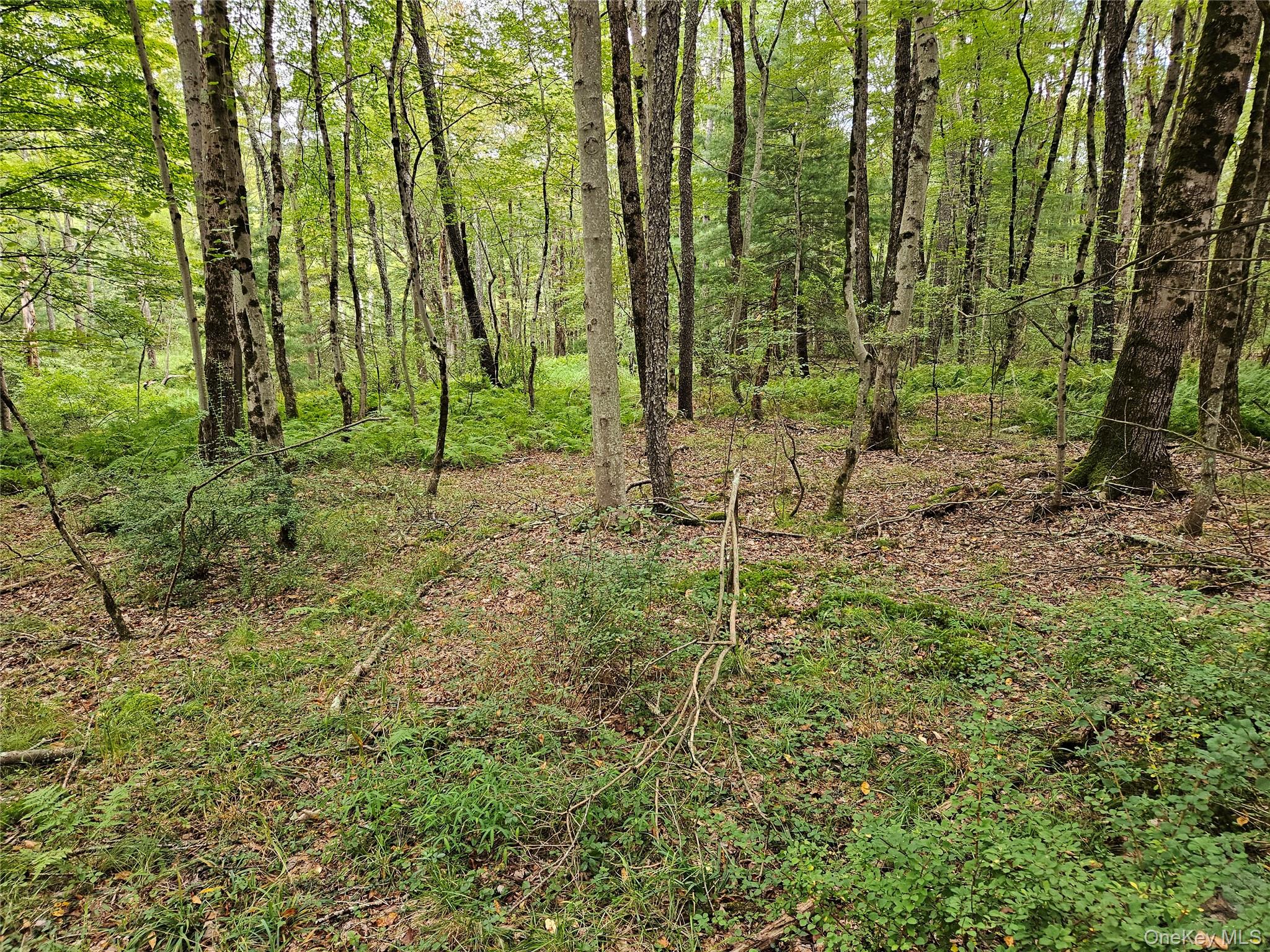 #20 photo, Flower Ave. & State Route 55, Kauneonga Lake , NY 12720