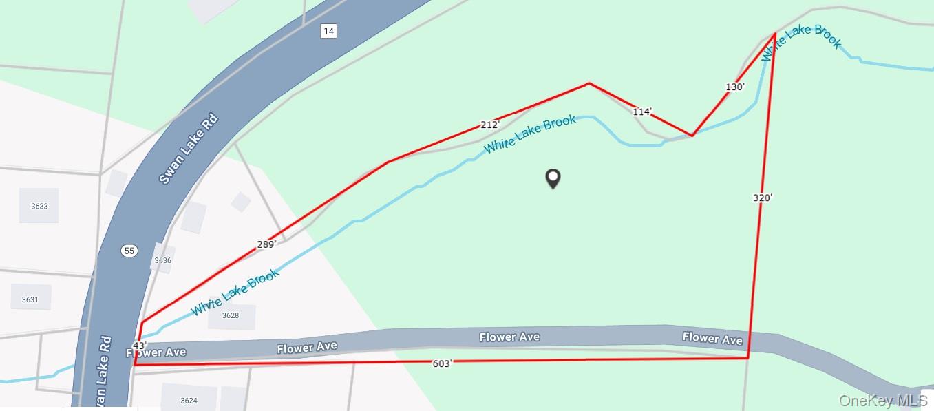 #3 photo, Flower Ave. & State Route 55, Kauneonga Lake , NY 12720