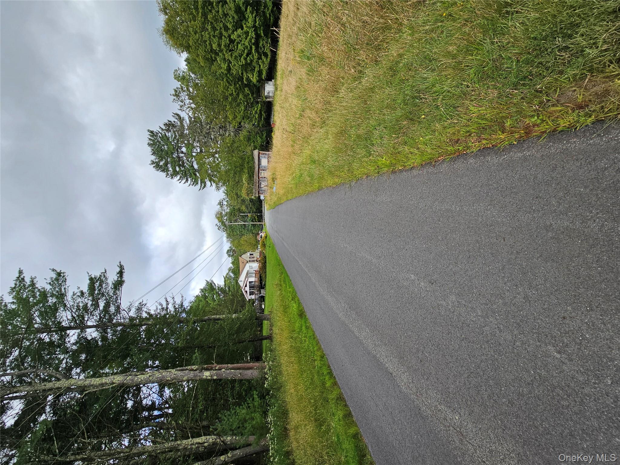 #5 photo, Flower Ave. & State Route 55, Kauneonga Lake , NY 12720